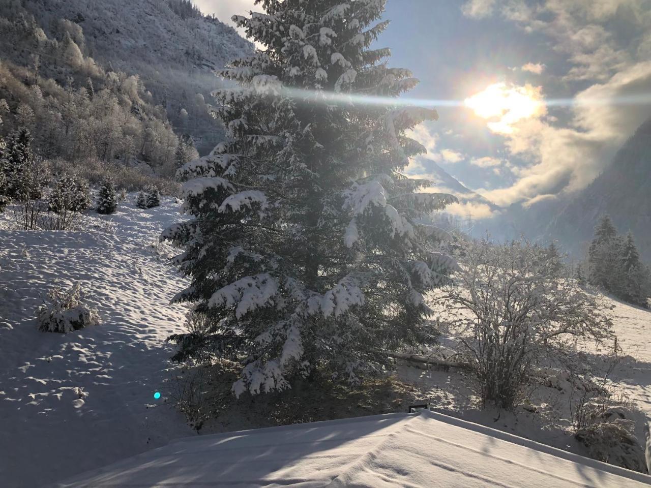 Hotel Kuenstleralm Капрун Екстериор снимка